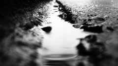Puddles ground grayscale depth of field hardscapes