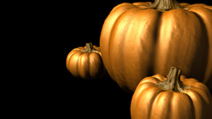 Pumpkin vegetable Food and