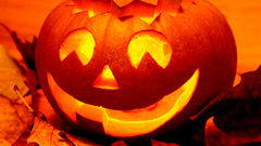 Pumpkins skeletons Halloween horror