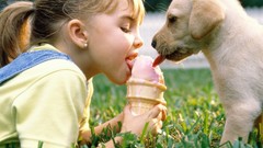 Puppies Dogs ice cream golden licking sharing