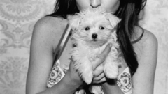 Puppies Lindsay Lohan grayscale