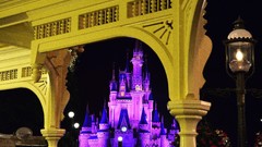 Purple Cinderella Castles