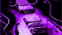 Purple guitars