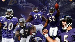 Purple nfl baltimore ravens