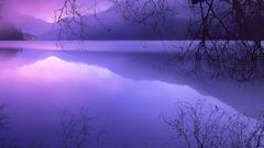 Purple purple sunset nature