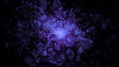 Purple You Don about forget