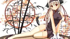 Qipao Chinese clothes nekomimi