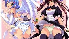 Queens blade