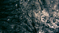 Questions loaded sunira