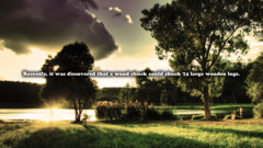 quote landscape Lake Trees clouds