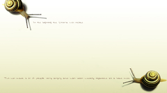 Quotes Douglas Adams The