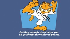 Quotes Garfield martial arts