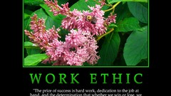 Quotes posters motivational posters