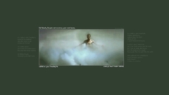 Rabbt rabbit in Your