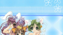 Rabi en rose puchiko