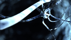 Radiance dark neurons cellular