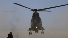 Raf puma high military