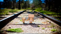 Railroad tracks danboard