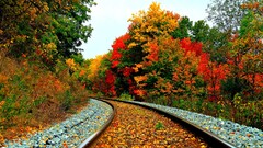railway fall Trees Plants landscape outdoors railroad track