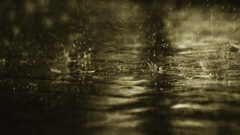 Rain