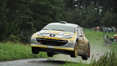 Rain asphalt cars Czech Republic Peugeot roads rally races 