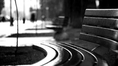 Rain bench urban blurred background grayscale