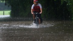 Rain Bicycles Men Plants