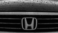 Rain black and white Honda automobile