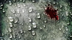 Rain blood water drops