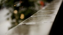 Rain bokeh depth of field