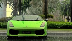 Rain cars Lamborghini palm trees green cars