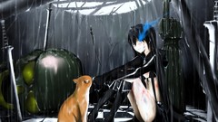 Rain cats wet blush black rock shooter kuroi mato