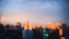 Rain cityscapes depth of field window panes