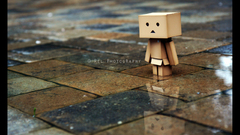 Rain danboard