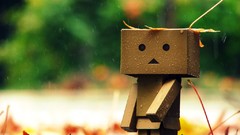 Rain danboard artwork