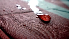 Rain drop Umbrellas British