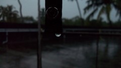 Rain evening India Umbrellas