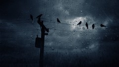 Rain glass Birds Cables post