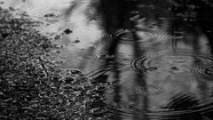 Rain glass water drops