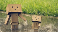 Rain grass danboard water