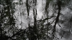 Rain LOL You high thank Resolution bnw