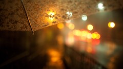 rain night lights blurred depth of field umbrella bokeh dark