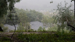 Rain Op not contributing