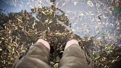 Rain Poland Europe cities Polish lublin