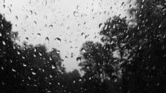 Rain rain on glass