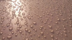 Rain reflections water drops sunlight