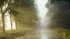 Rain roads rivers reflections