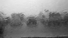 Rain soaked windsheild nature