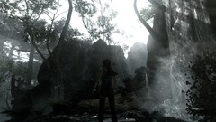 Rain tomb raider Sunny Rise