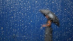 Rain Umbrellas